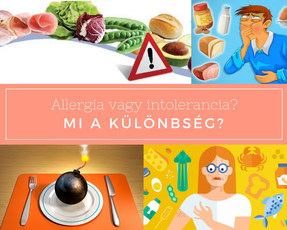 
<span>Ételallergia vagy ételintolerancia? </span>
