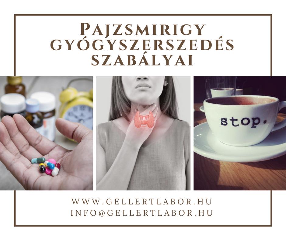
<span>A pajzsmirigy gyógyszerszedés szabálya</span>
