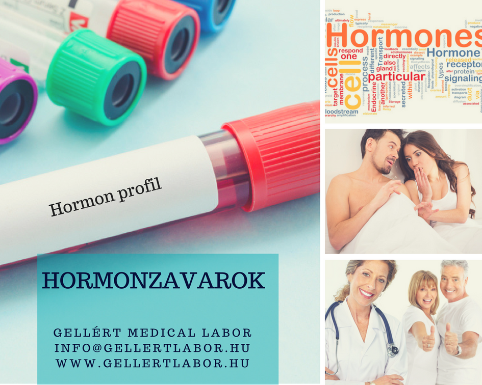 
<span>A hormonokról általánosságban</span>
