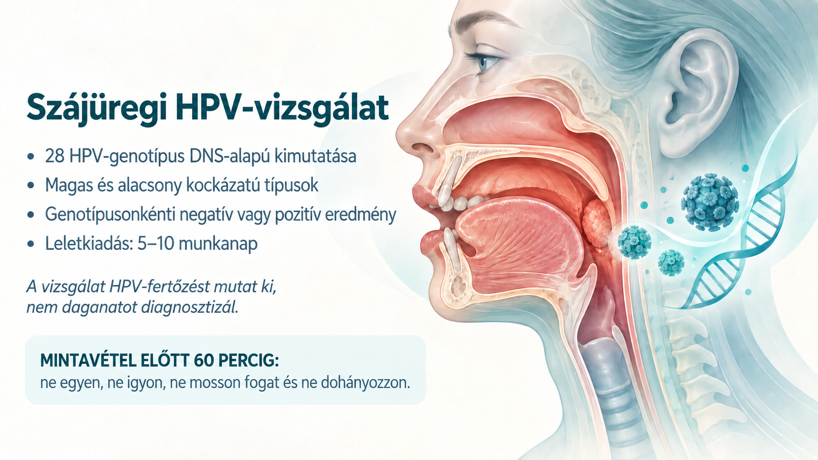 
<span>Szájüregi és szájgarati daganatok – tünetek, kockázatok és a HPV szerepe</span>
