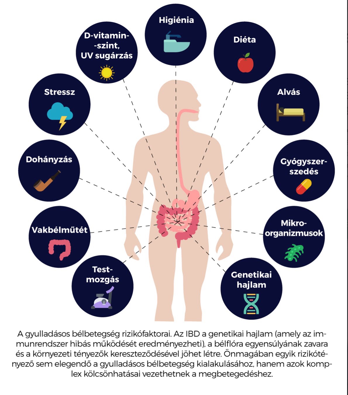 
<span>IBD / IBS </span>
