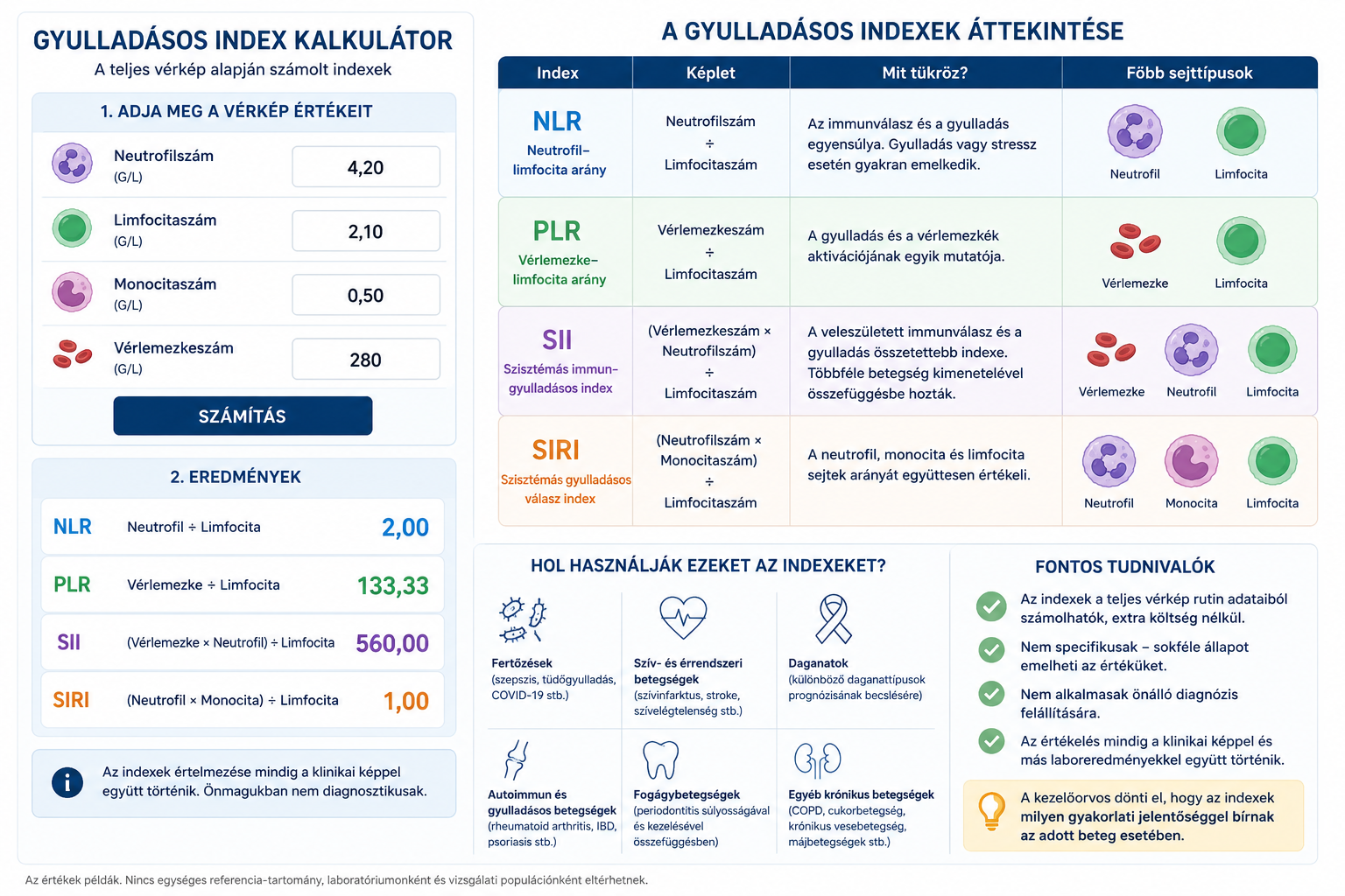 
<span>Gyulladásos biomarkerek – mit árulnak el szervezetünk rejtett gyulladásairól?</span>

