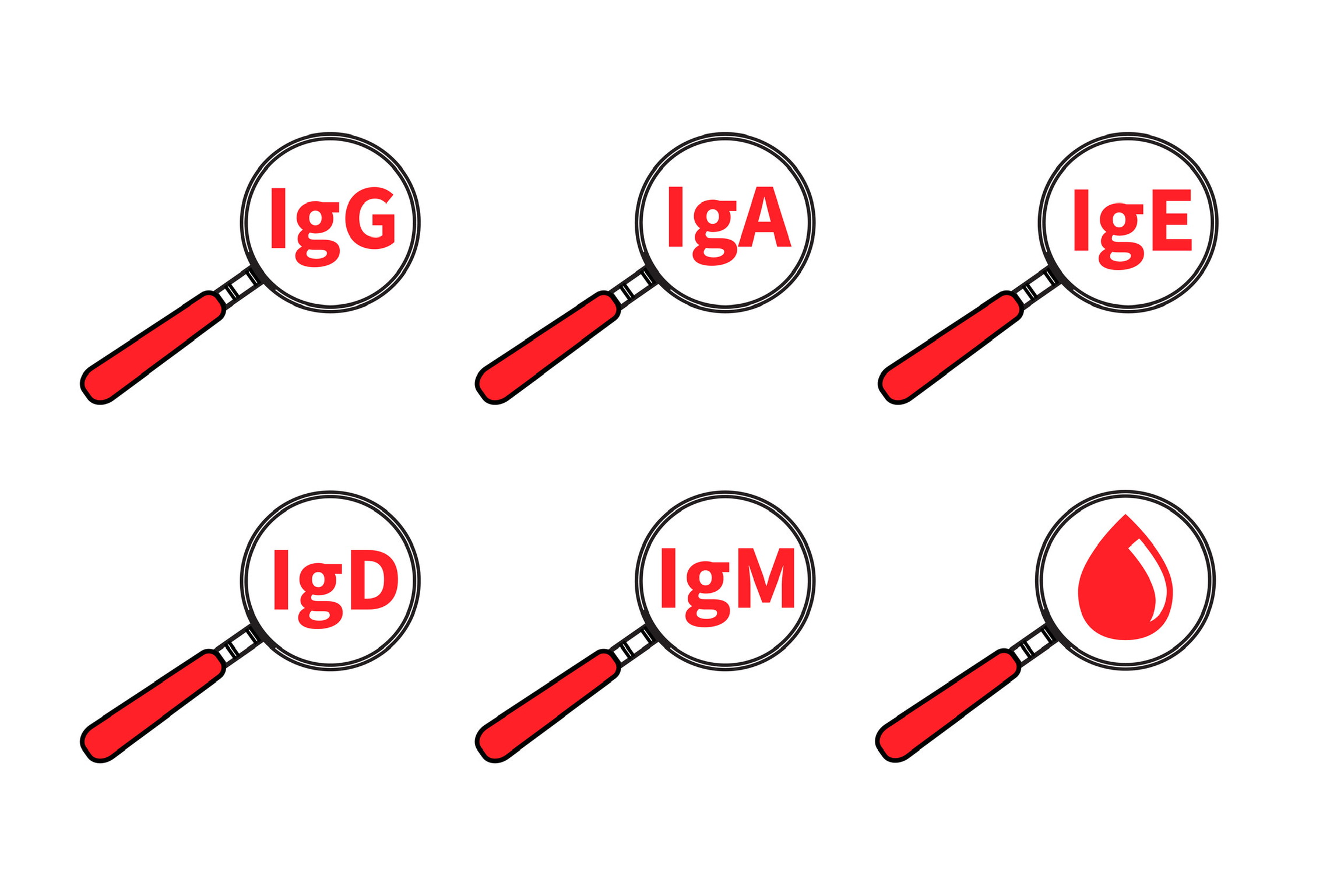 
<span>Immunglobulinok</span>
