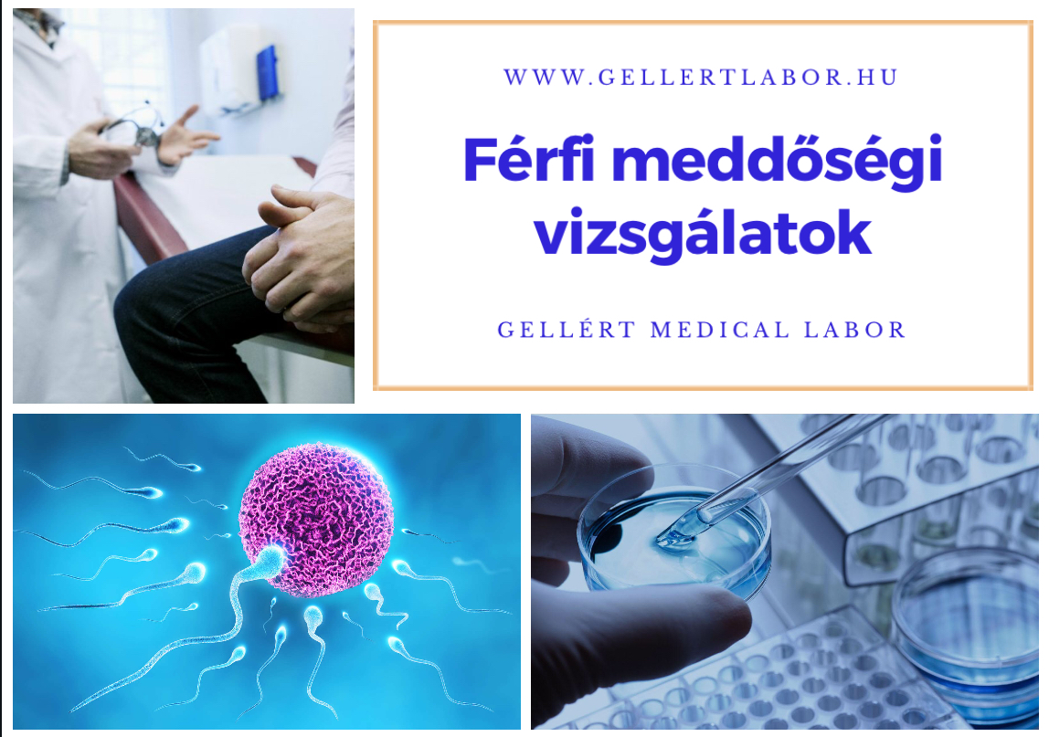 
<span>Vizsgálati lehetőségek a férfi meddőségben</span>
