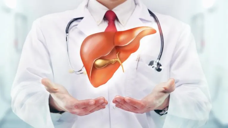Májbetegségek és labordiagnosztika
