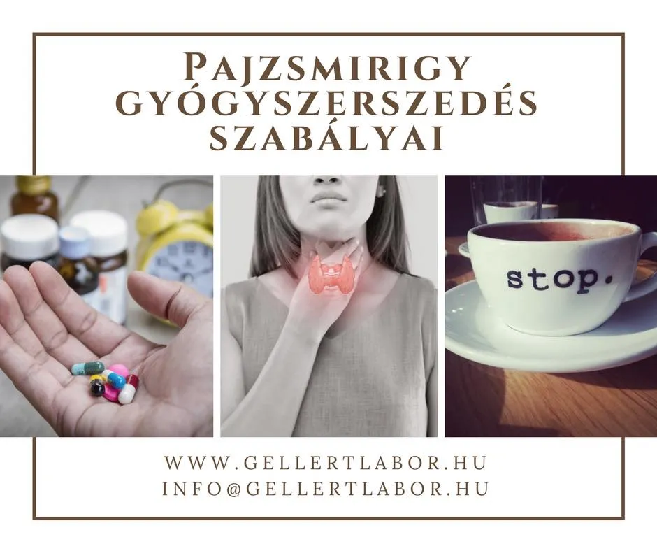 A pajzsmirigy gyógyszerszedés szabálya