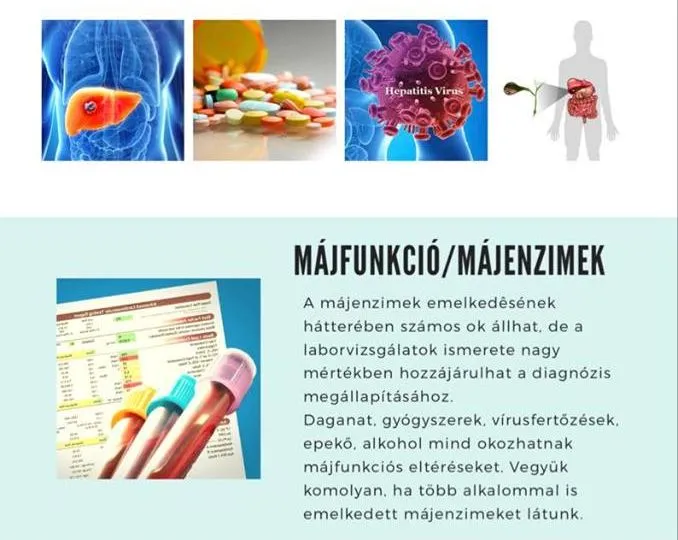 Mitől lehetnek magasabbak a májfunkciós értékek?