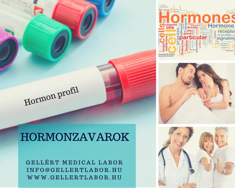 A hormonokról általánosságban