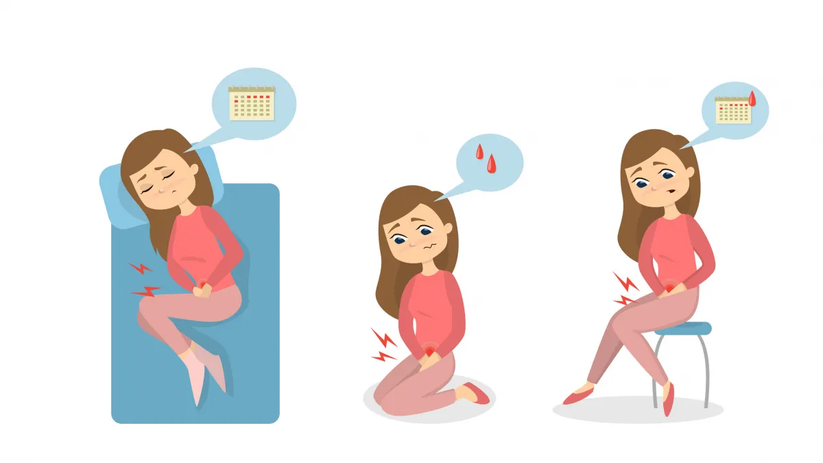 Menstruációs ciklus és zavarai