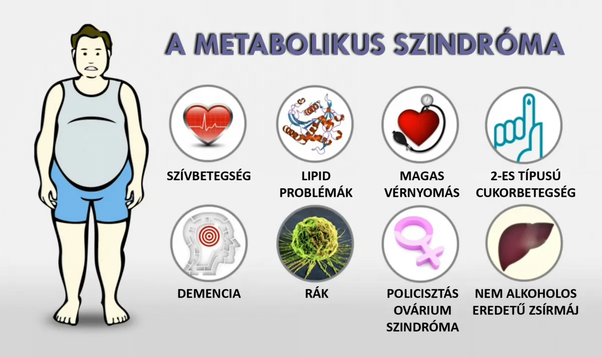 Forrás: vitalitasportal 