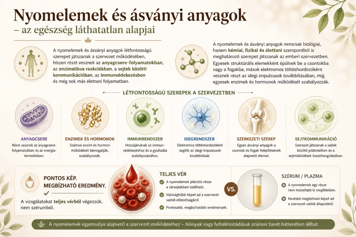 Nyomelemek és ásványi anyagok egyensúlya