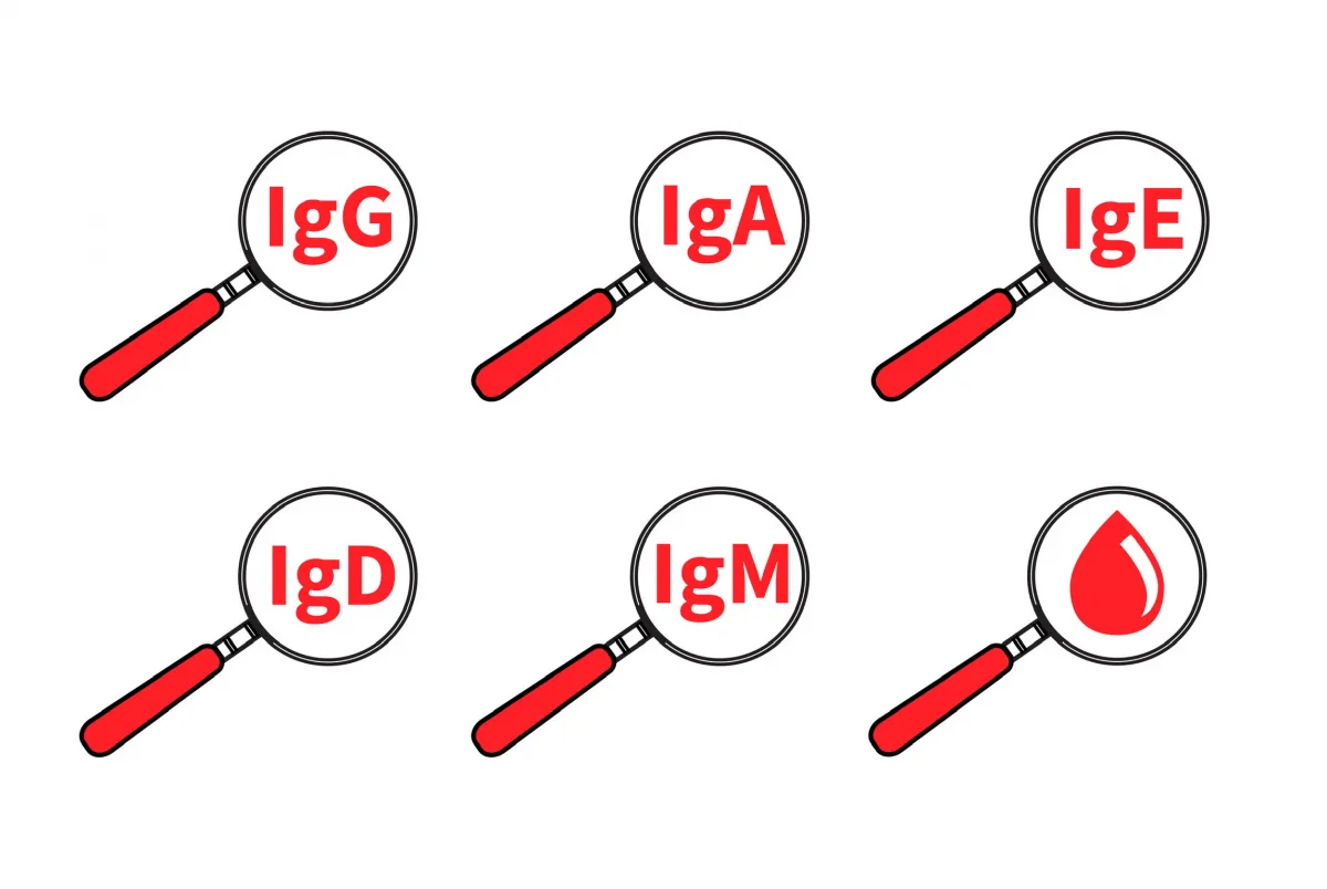 Immunglobulinok