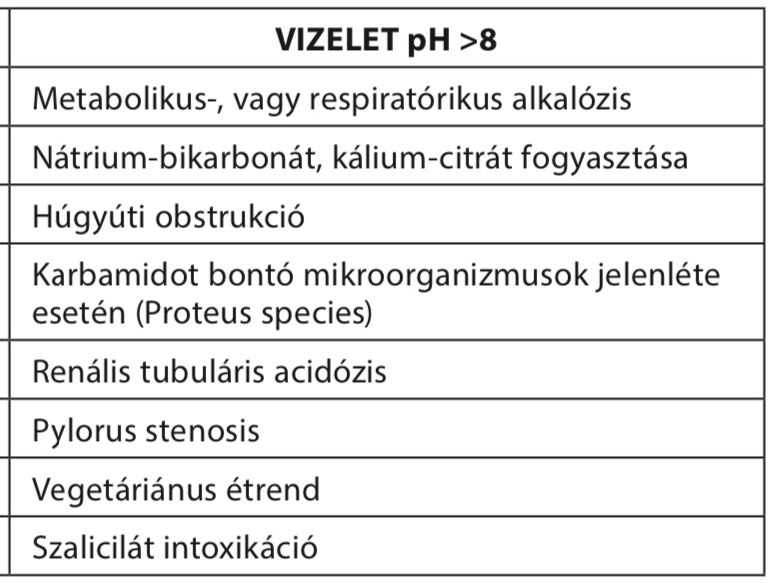 6a1ee717-caf5-40cd-86d7-d1604765fdf2.jpeg